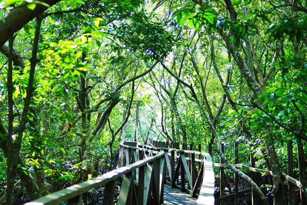 Hutan Kota Margomulyo
